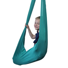 Sensory Swings