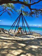  Hanging Chair for Indoor And Outdoor 